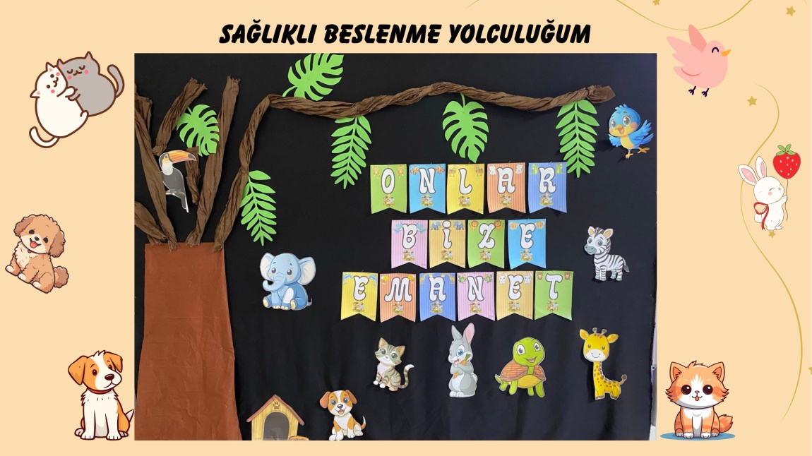 HAYVANLAR İÇİN SAĞLIKLI YİYECEK PAKETLERİMİZ